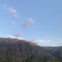 Али