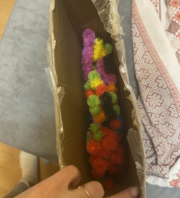 post image 5