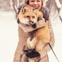 Ксения