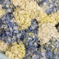 🤰🏻🤱🏻👼🏻