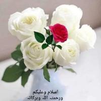 Umer Shafique