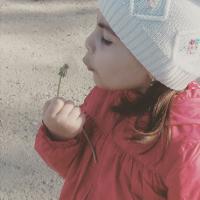 raisat