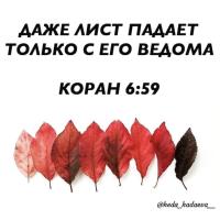 Гозаля Асанова