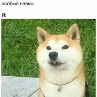 Николаева Светлана