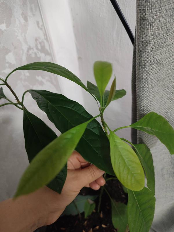post image 3