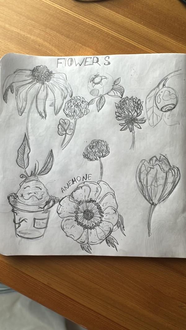 post image 4