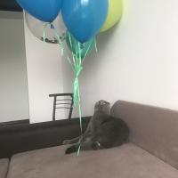 Аліна Костинюк