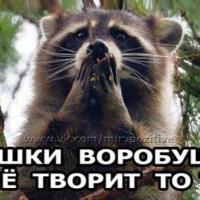 Ольга