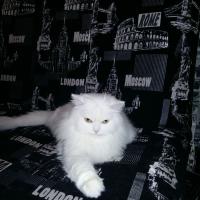 Таня