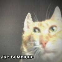Люся