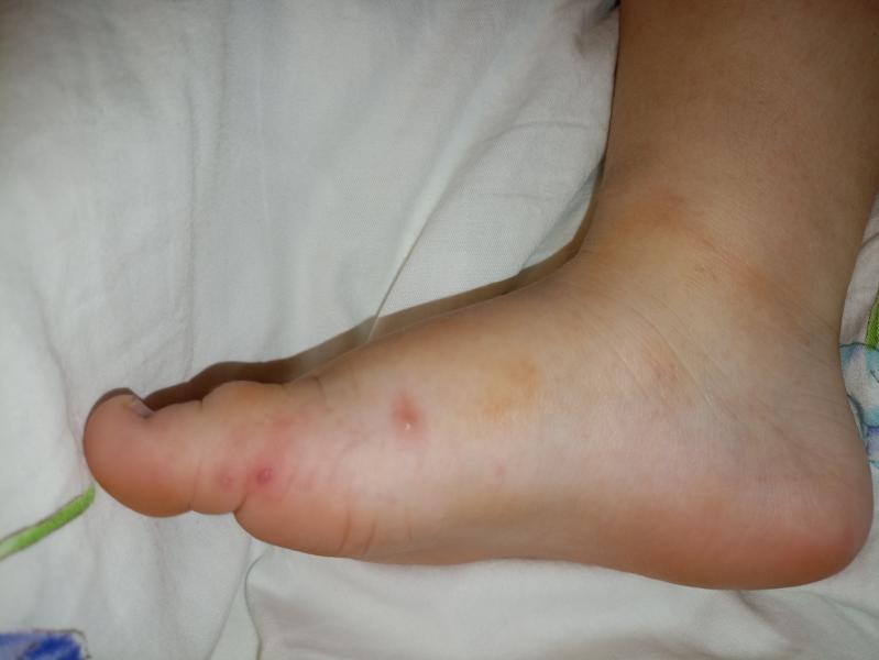 post image 5