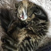 Александра