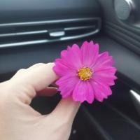 Кама