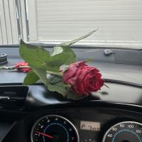 Сибэкки🌸