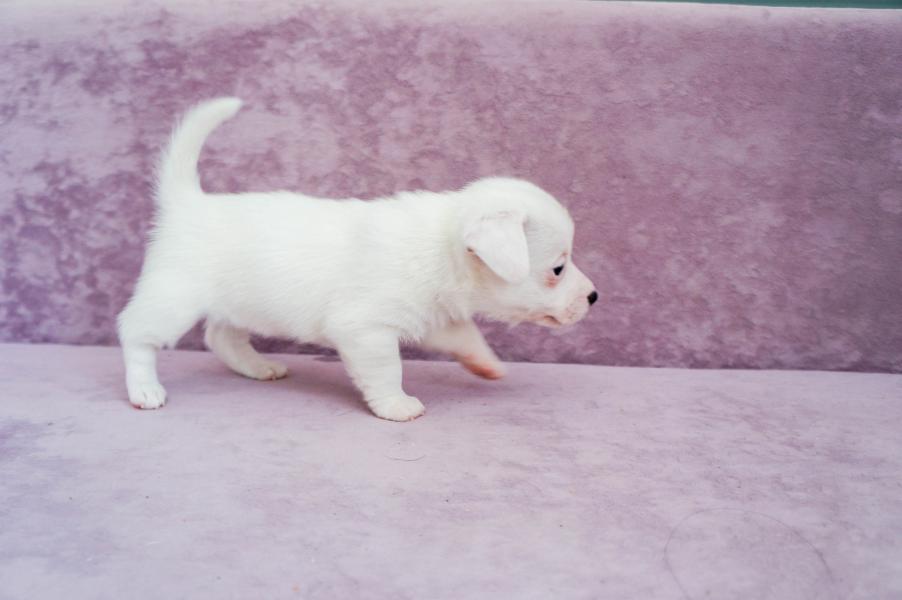 post image 4