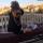 maiya_3