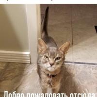 Мама