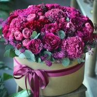 Фатима 🌺