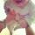id4543403