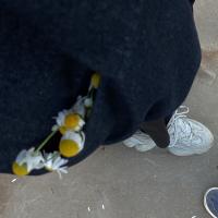Сания