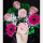 umm_muhammadrahim_