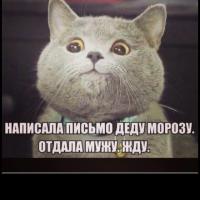 Катя