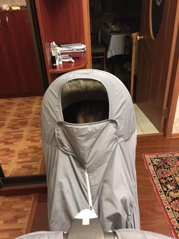 post image 5