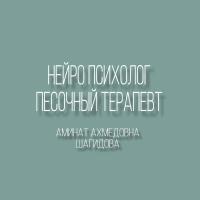 Шагидова Аминат Ахмедовна