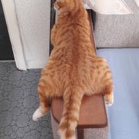 Диана