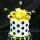 best_ideas_for_baby