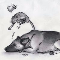 Наталья