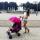 masha.salamonovs