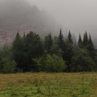 alla