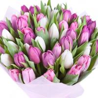 🌸Настёна Вовчика🌸
