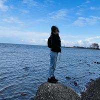 lisenok