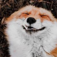 Ксения Романова 