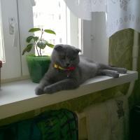 Юревич Ольга Викентьева