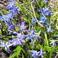 Юлия Корниенко 