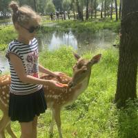 Polinka