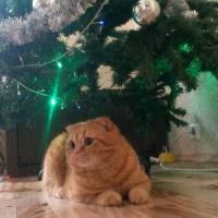 Юлия