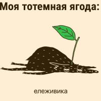 Раби