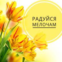 Алена