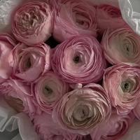 Владислава 