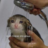 kkkkkkk