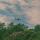 sova_23