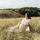 anna2409a5