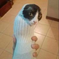 •••