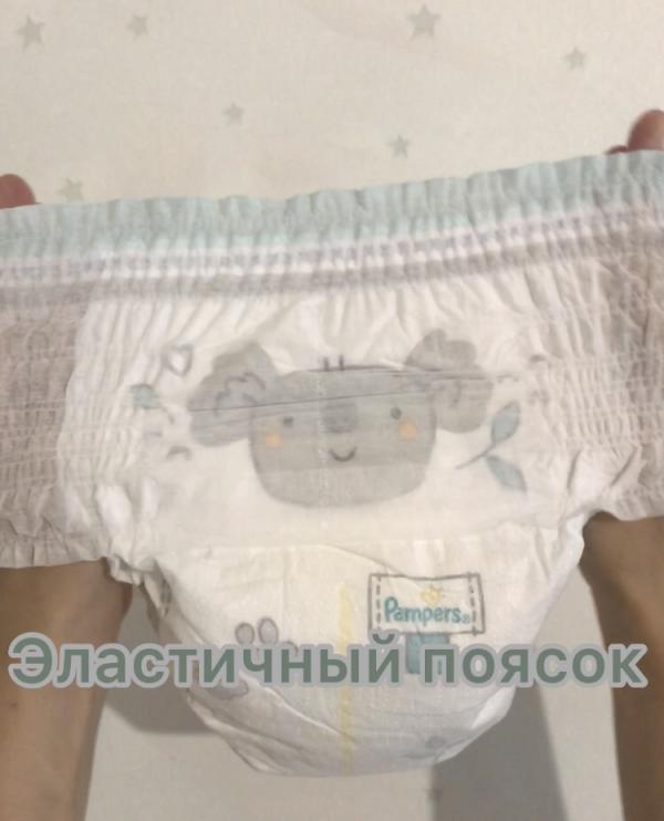 post image 5
