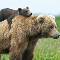 дочьпапиногодруга