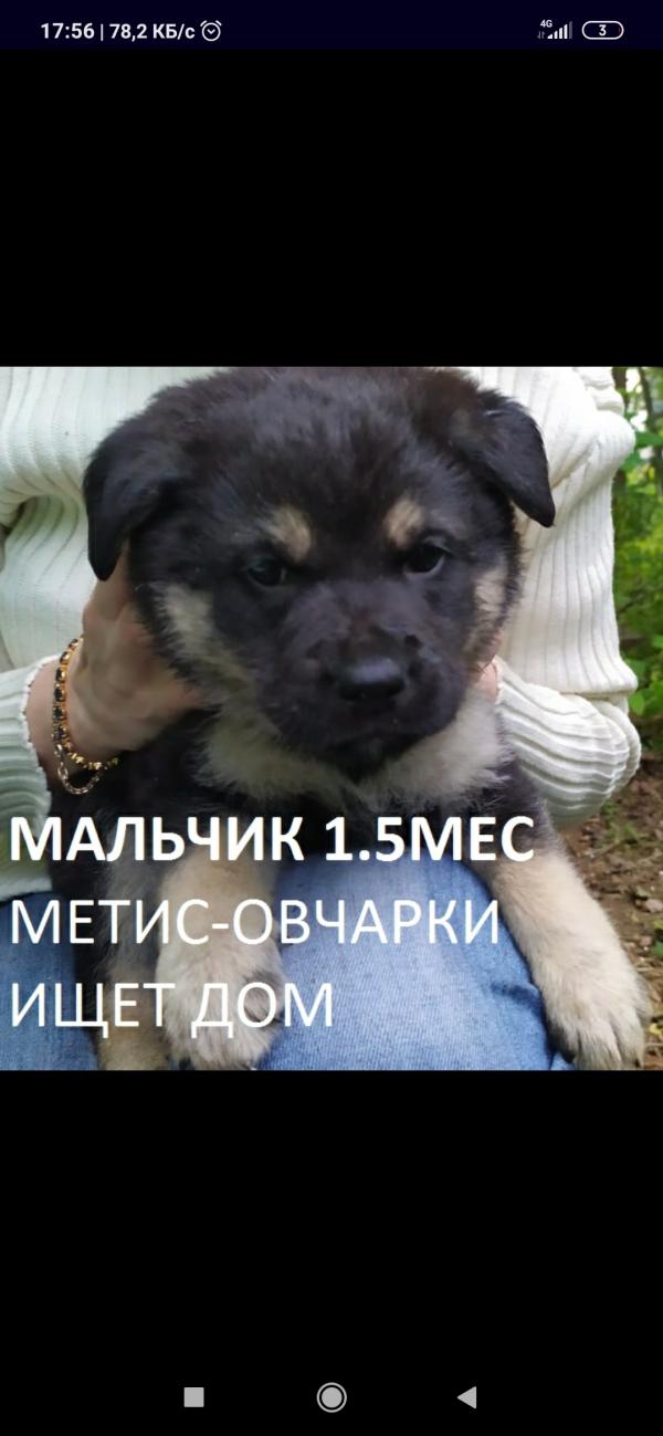 post image 2